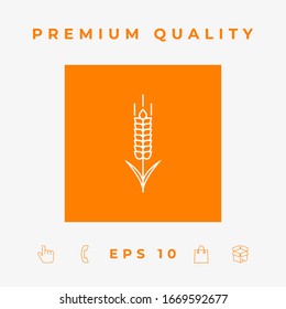 Wheat or rye spikelet icon. Graphic elements for your design