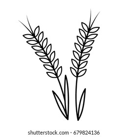 Wheat or rye spikelet icon. Vector illustration
