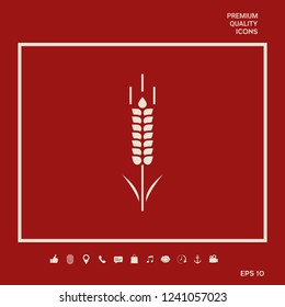 Wheat or rye spikelet symbol. Graphic elements for your design