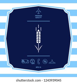 Wheat or rye spikelet symbol. Graphic elements for your design