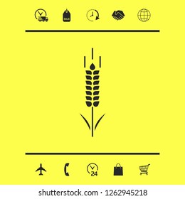 Wheat or rye spikelet symbol. Graphic elements for your design