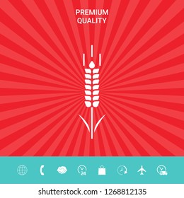 Wheat or rye spikelet symbol. Graphic elements for your design