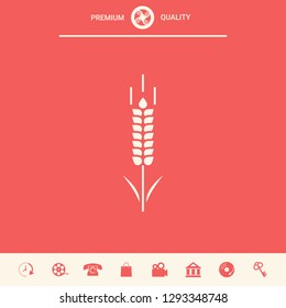 Wheat or rye spikelet symbol. Graphic elements for your design
