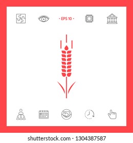 Wheat or rye spikelet symbol. Graphic elements for your design