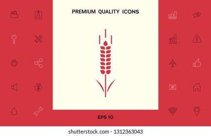 Wheat or rye spikelet symbol. Graphic elements for your design