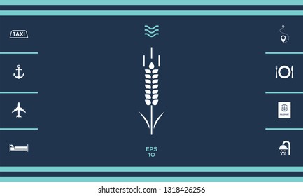 Wheat or rye spikelet symbol. Graphic elements for your design