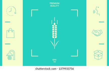 Wheat or rye spikelet symbol. Graphic elements for your design