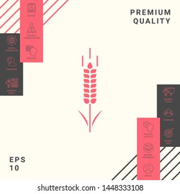 Wheat or rye spikelet symbol. Graphic elements for your design
