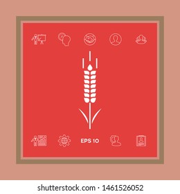 Wheat or rye spikelet symbol. Graphic elements for your design