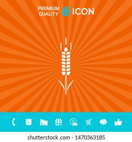 Wheat or rye spikelet symbol. Graphic elements for your design