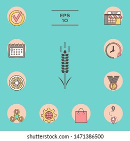 Wheat or rye spikelet symbol. Graphic elements for your design