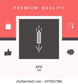 Wheat or rye spikelet symbol. Graphic elements for your design