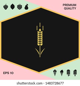 Wheat or rye spikelet symbol. Graphic elements for your design