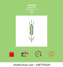 Wheat or rye spikelet symbol. Graphic elements for your design
