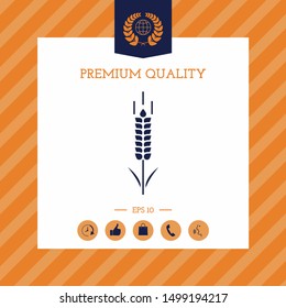 Wheat or rye spikelet symbol. Graphic elements for your design