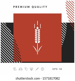 Wheat or rye spikelet symbol. Graphic elements for your design