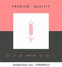 Wheat or rye spikelet symbol. Graphic elements for your design