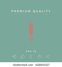 Wheat or rye spikelet symbol. Graphic elements for your design