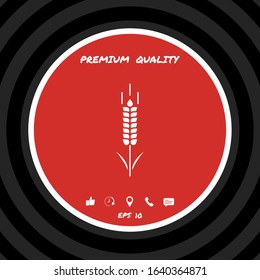 Wheat or rye spikelet symbol. Graphic elements for your design