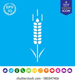 Wheat or rye spikelet symbol icon