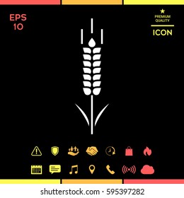 Wheat or rye spikelet symbol icon