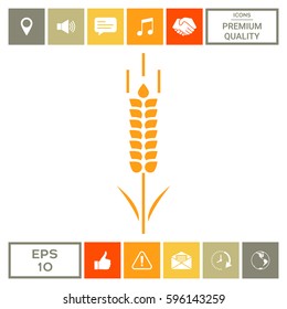 Wheat or rye spikelet symbol icon