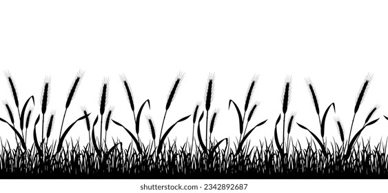 Wheat seamless field silhouette. Rye border. Decor with agricultural vegetation. Tall grasses.