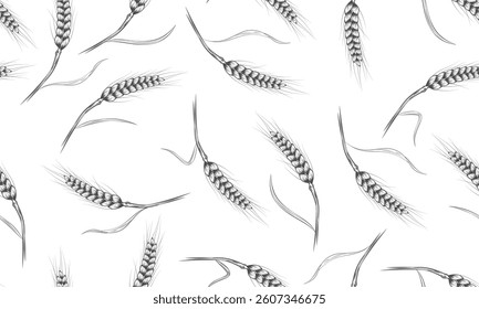 Wheat seamless pattern. Hand drawn ears of wheat. Grains outline on white background. Agricultural field of grain crops.
