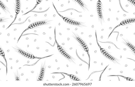 Wheat seamless pattern. Hand drawn ears of wheat. Grains outline on white background. Agricultural field of grain crops.