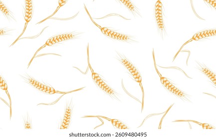 Wheat seamless pattern. Hand drawn ears of wheat. Grains outline on white background. Agricultural field of grain crops.