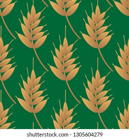Wheat seamless pattern vector illustration