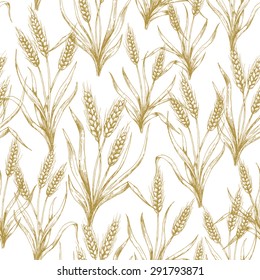 Wheat seamless pattern. Vector illustration