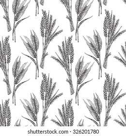 Wheat seamless pattern. Vector illustration in sketch style. Isolated on white