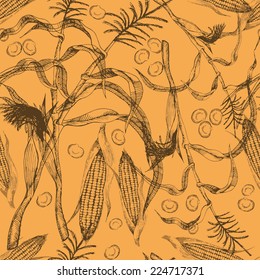 wheat. Seamless pattern of vintage plants