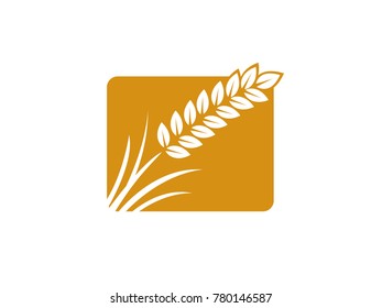 wheat seed food cereal brew vector logo design 