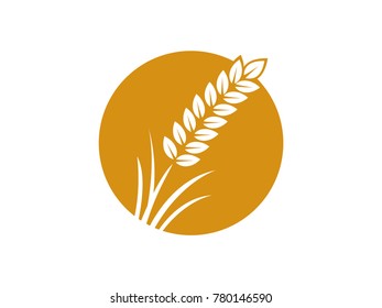 wheat seed food cereal brew vector logo design 
