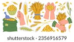 Wheat seed grain, whole stems spikelets ears, stalks, bag sacks packaging elements and human hands vector illustration. Cereal natural crop, agriculture organic harvest variety for bread production