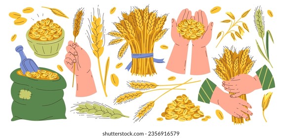 Grano de semilla de trigo, espigas enteras de tallo, tallos, sacos de bolsas y elementos de embalaje de las manos humanas e ilustración vectorial de las manos humanas. Cultivo natural de cereales, agricultura variedad de cosecha orgánica para la producción de pan