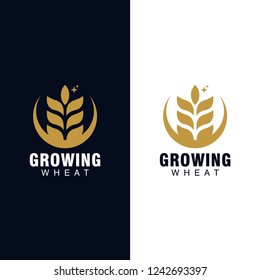 wheat seed logo concept