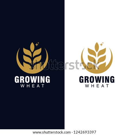 wheat seed logo concept