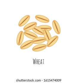 Wheat  seeds vector illustration in a flat cartoon style isolated on white background.