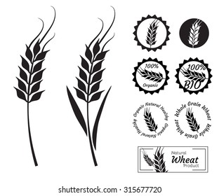 Wheat set or collection in vector