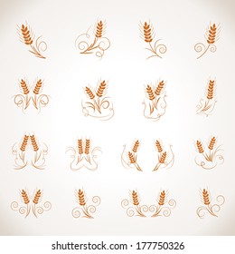 Wheat Set - Isolated On Gray Background - Vector Illustration, Graphic Design Editable For Your Design.