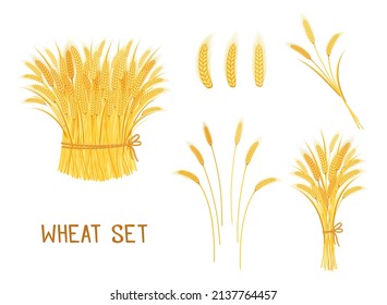 Wheat set vector illustration isolated on white background.