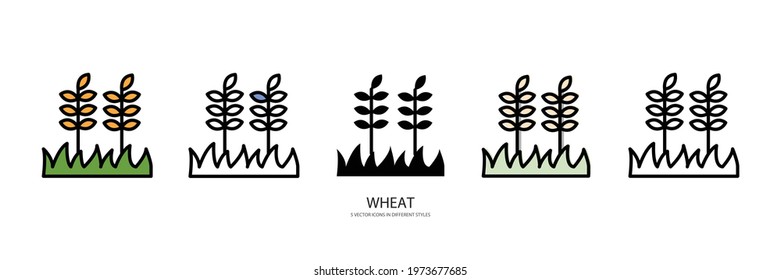 wheat set vector type icon