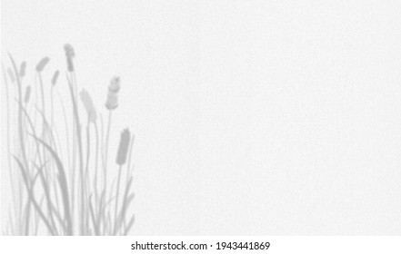 wheat shadow stock vector background