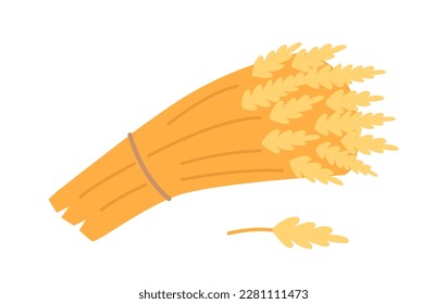 Wheat Sheaf Isolated On White Background. Symbol Of Abundance And Prosperity, Bundle Of Wheat Stalks Bound Together