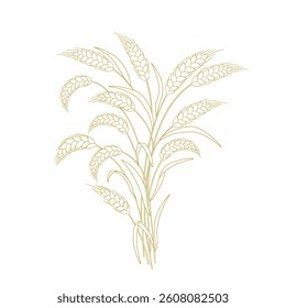 Wheat Sheaf Vector Hand-Drawn Illustration on white background.