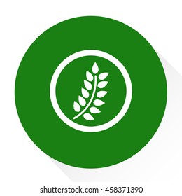 wheat sign icon