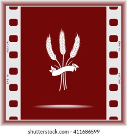 Wheat sign icons, vector illustration. Flat design style